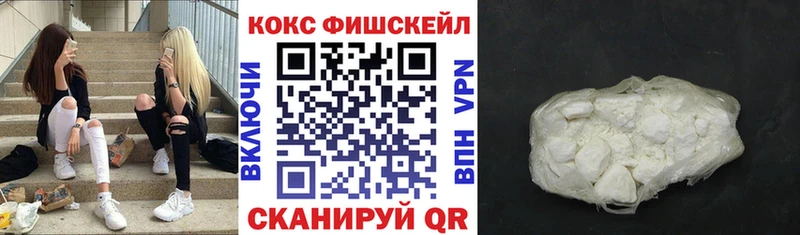 Кокаин Fish Scale  Купить закладки  Татарск 