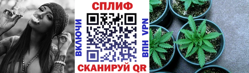 Конопля THC 21%  Купить где  Татарск 